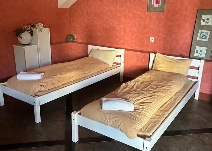 Temenuga Hotel Panichishte